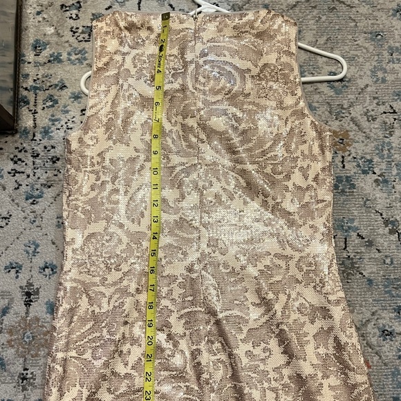 Lauren Ralph Lauren Champagne Sequin Floral Jacquard Dress - Picture 10 of 15